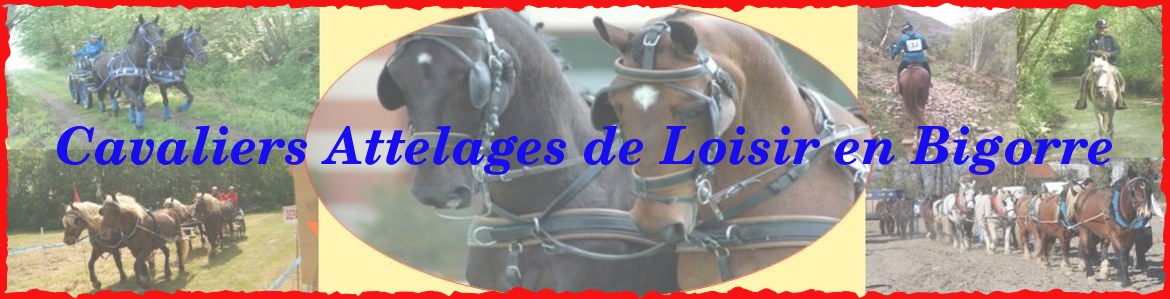 Cavaliers Attelages de Loisir en Bigorre